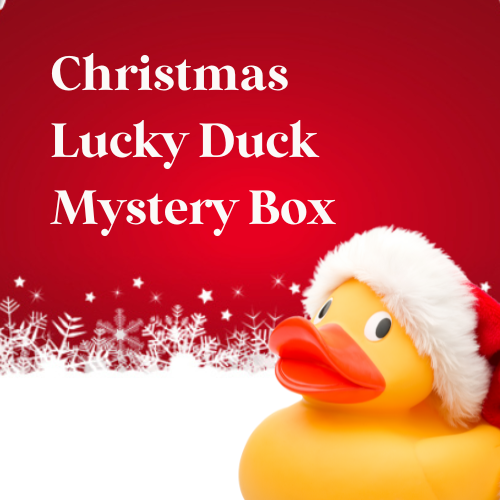 Christmas Lucky Ducky Box