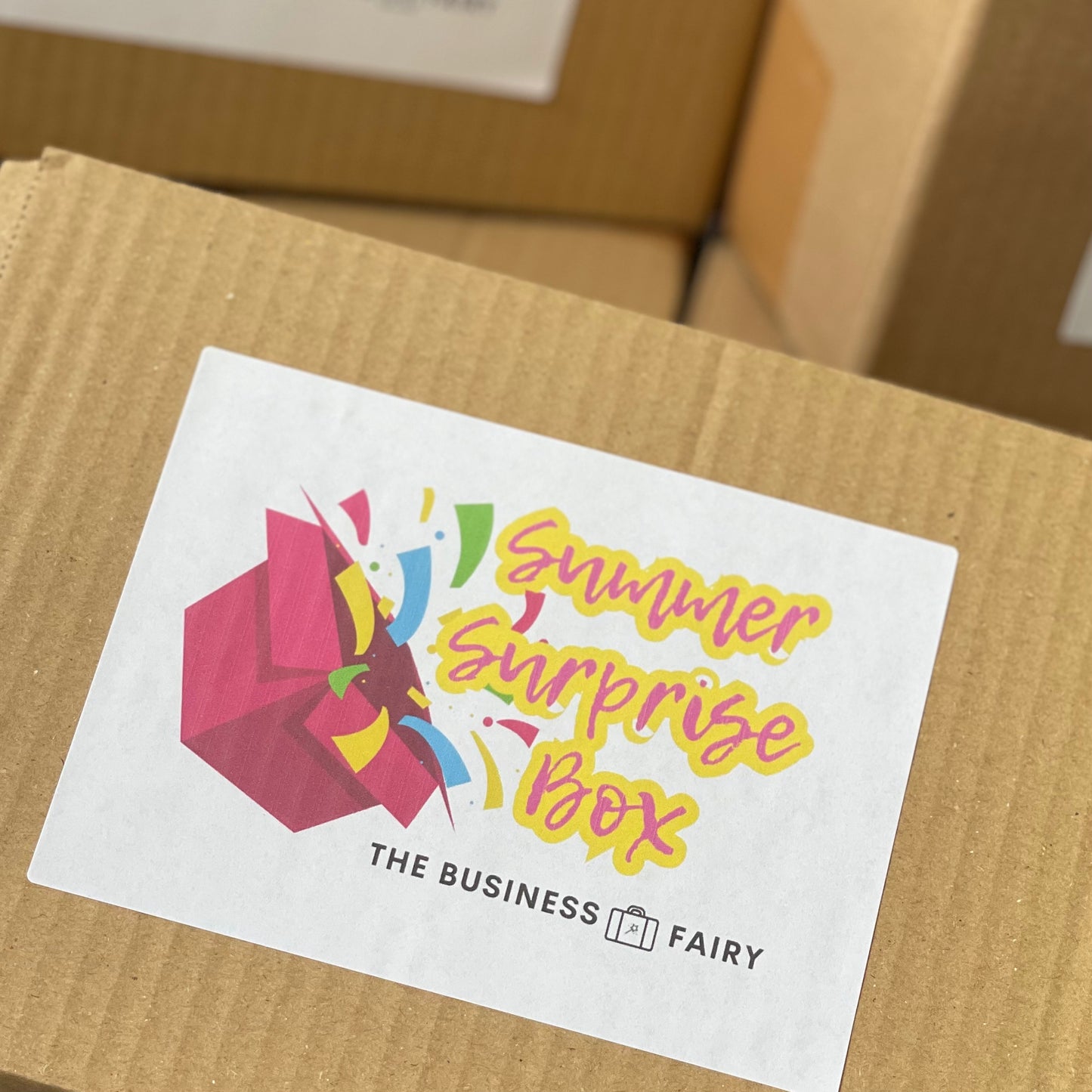 Summer Surprise Box